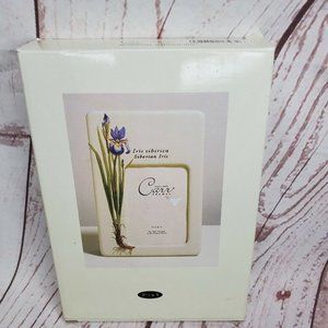 Carr Frames 3.5x5 Botanical Garden Iris Floral Picture Frame 048637217934